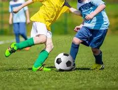 四川黄金,以上股东部,分股权质押,天博体育平台,天博体育官方网站,天博体育登录入口,天博体育app下载