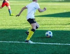 四川黄金,以上股东部,分股权质押,天博体育平台,天博体育官方网站,天博体育登录入口,天博体育app下载