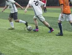 疯狂动物城,配音风波升,争议加剧真,天博体育平台,天博体育官方网站,天博体育登录入口,天博体育app下载