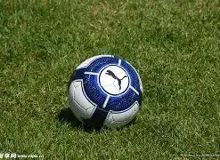 安博电竞携,打造专业电,竞赛事保障,天博体育平台,天博体育官方网站,天博体育登录入口,天博体育app下载