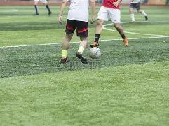 拜仁本赛季,德甲主场,轮战罢积,天博体育平台,天博体育官方网站,天博体育登录入口,天博体育app下载