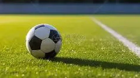 古装战争剧、军旅谍战、都市青春、偶像爱情、喜剧家庭、犯罪动作、奇幻历史、经典乡村、商战悬疑、动画武侠、科幻网剧