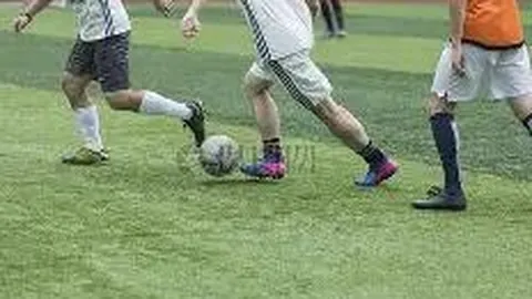 《疯狂动物城2》配音风波升级，争议加剧真相何在？